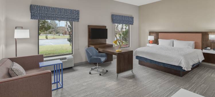 75号州际公路北梅肯欢朋套房酒店(Hampton Inn & Suites Macon I-75 North)图片