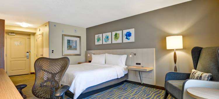 维斯塔湖希尔顿花园酒店(Hilton Garden Inn Lake Buena Vista/Orlando)图片