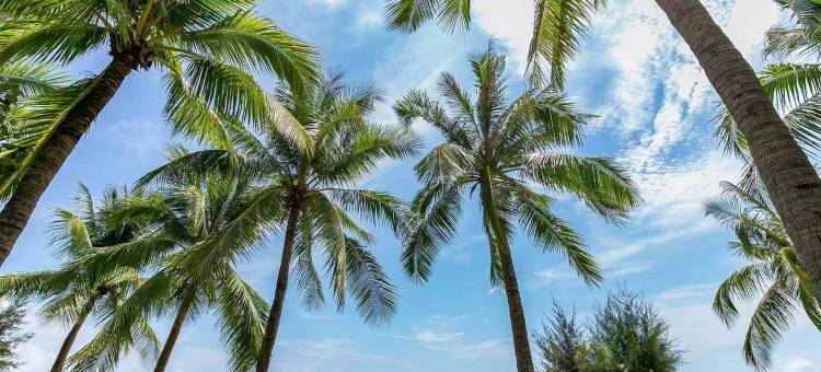 新海湾海景度假公寓(榆亚路1号分店)图片