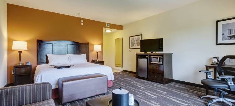 希尔顿欢朋酒店-波普勒布拉夫(Hampton Inn Poplar Bluff)图片