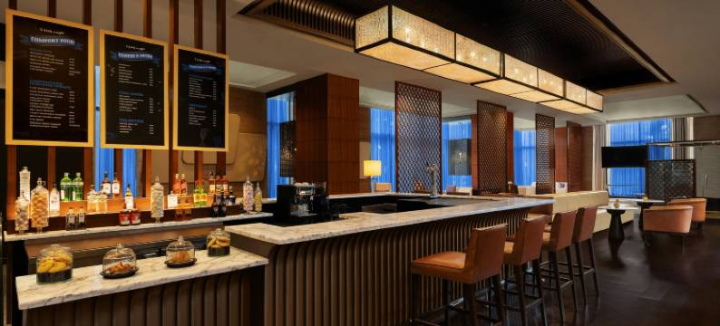海得拉巴喜来登酒店(Sheraton Hyderabad Hotel)图片