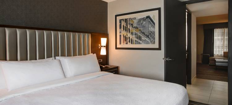 锡拉库兹希尔顿安泊酒店(Embassy Suites by Hilton Syracuse)图片