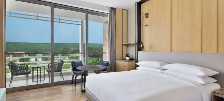 阿拉瓦利万怡度假村度假村(Courtyard Aravali Resort)图片