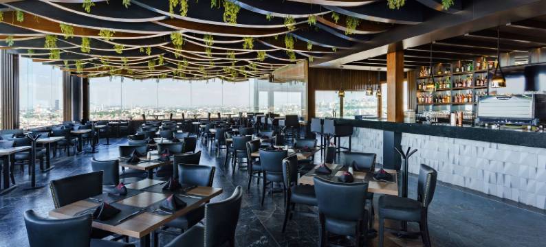 丽笙普埃布拉安赫洛波利斯(Hotel Radisson Puebla Angelopolis)图片