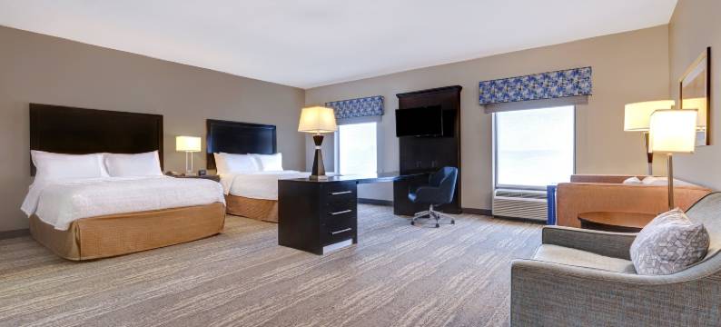 坦帕西北/奥尔兹马欢朋套房酒店(Hampton Inn & Suites Tampa Northwest/Oldsmar)图片