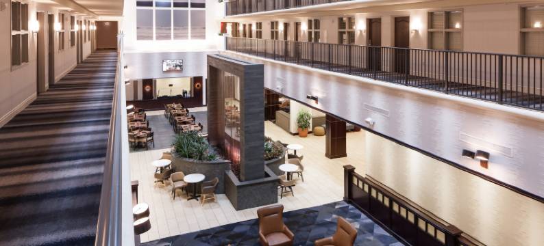 坦帕布兰登希尔顿大使套房酒店(Embassy Suites by Hilton Tampa Brandon)图片