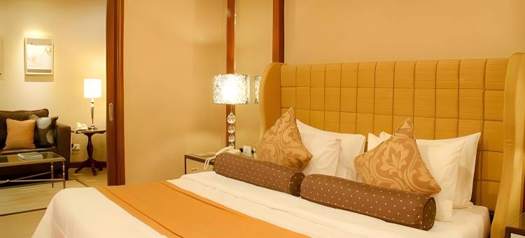 皇家花园奥扎米斯城市酒店(Royal Garden Hotel)图片