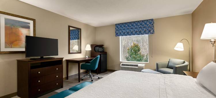 西亚特兰大机场坎普溪大道欢朋套房酒店(Hampton Inn & Suites Atlanta Airport West/Camp Creek Parkway)图片