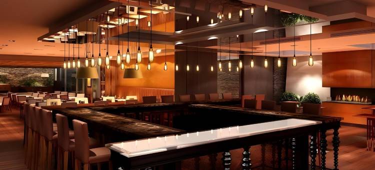 圣地亚哥万丽酒店(Renaissance Santiago Hotel)图片