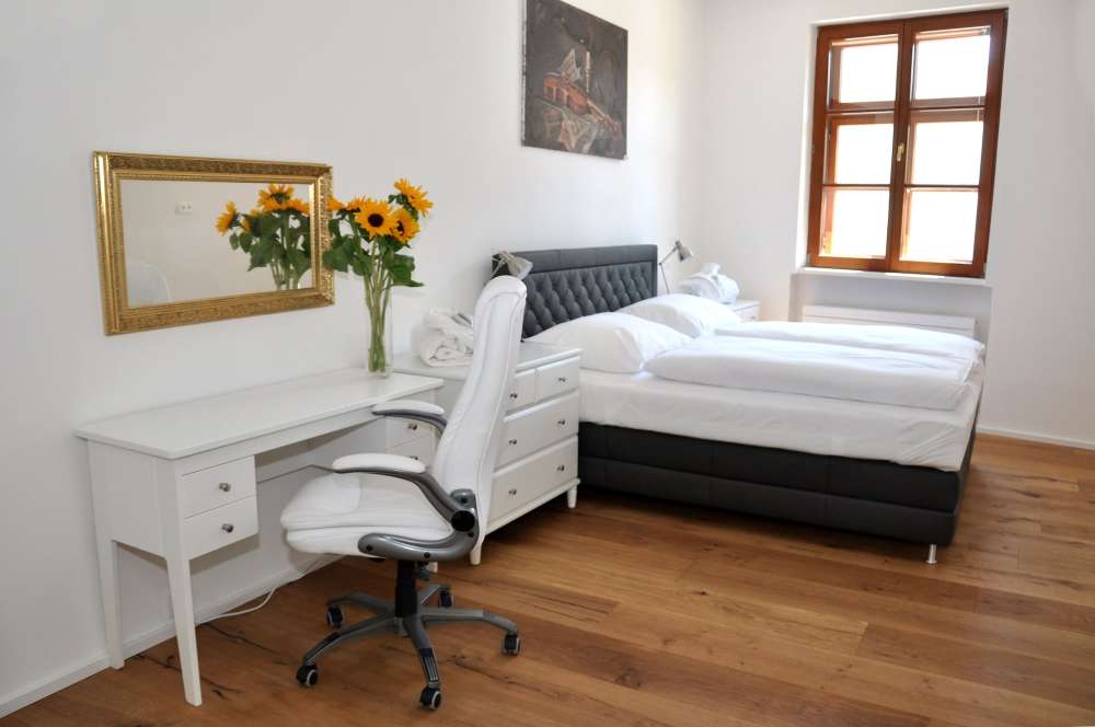 Hotel Zlaty Andel Over view