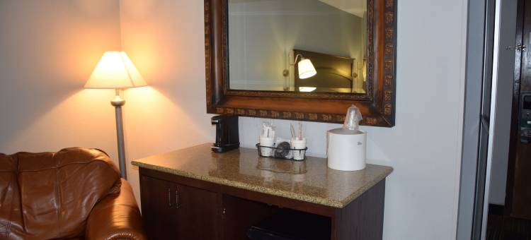 巴尔的摩BWI机场蔚景温德姆酒店(Wingate by Wyndham Baltimore BWI Airport)图片