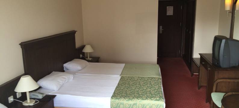 金棕榈酒店(Side Palm d'or Hotel)图片