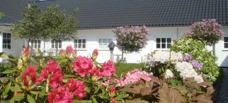 贝斯特贝德酒店(Best Bed)图片