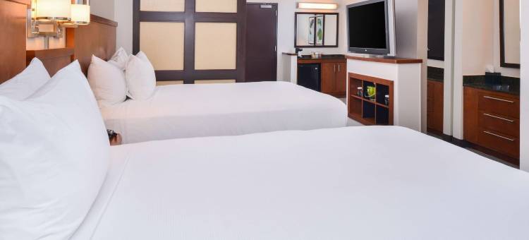 切萨皮克凯悦嘉轩酒店(Hyatt Place Chesapeake Greenbrier)图片