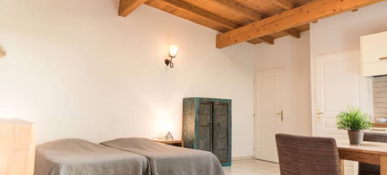 奥洛尔杜拉克酒店(L'Aurore du Lac)图片