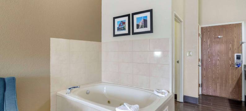 拉格兰奇舒适酒店及套房 - 路易斯维尔地区(Comfort Inn & Suites la Grange - Louisville Area)图片