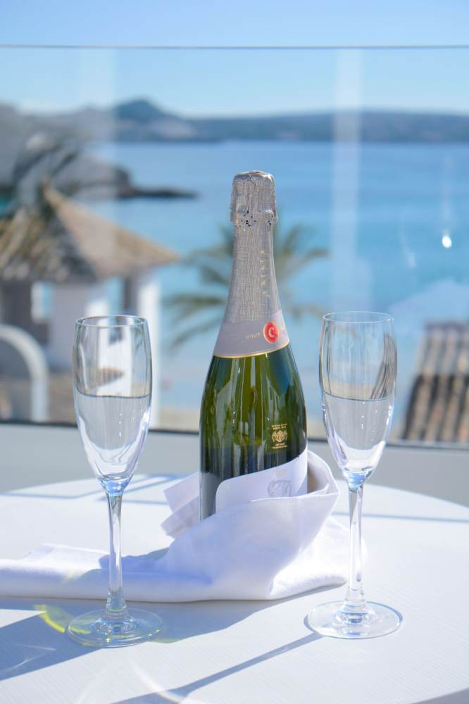 Paguera Treff Boutique HotelHotel Overview