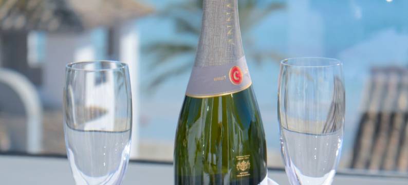 帕格拉特列夫精品酒店(Paguera Treff Boutique Hotel)图片