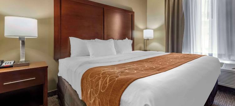 舒适套房酒店-桥港市克拉克斯堡(Comfort Suites Bridgeport - Clarksburg)图片