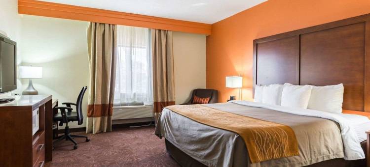 东休斯顿I-10伊克诺套房酒店(Econo Lodge Inn & Suites East Houston I-10)图片