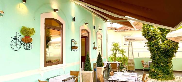 Salero宾馆(Salero Guest House)图片
