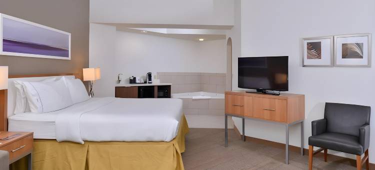 智选假日套房酒店新奥尔良机场(Holiday Inn Express & Suites New Orleans Airport South)图片