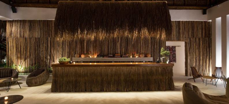 帕拉帕斯海滨HM别墅(Villas HM Palapas del Mar)图片