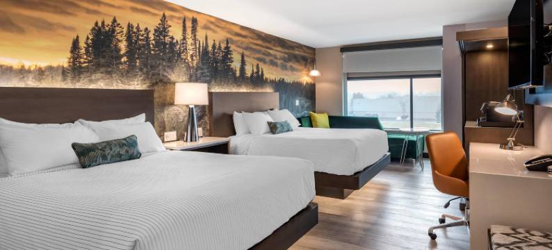 谢尔比镇-底特律坎布里亚酒店(Cambria Hotel Detroit-Shelby Township)图片