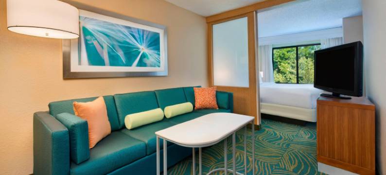 米沙沃卡大学区万豪SpringHill Suites 酒店(SpringHill Suites Mishawaka-University Area)图片