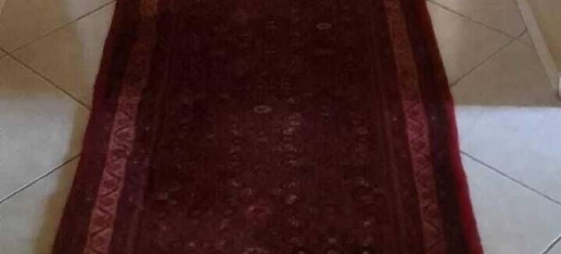 自然绿度假村和水疗中心(Natures Green Resort and Spa)图片