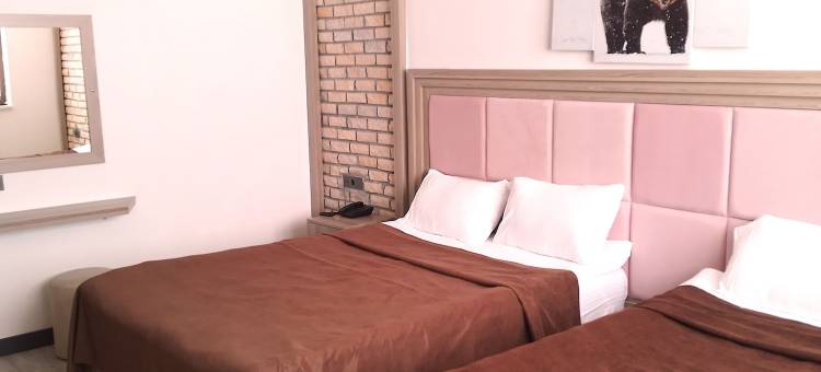 Chalet Khione (Metinoğlu 膳宿公寓) 萨里卡米什(Metinoglu Pansiyon (Chalet Khione) Sarıkamıs)图片