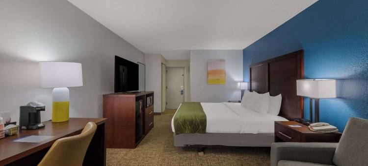 纽波特纽斯-汉普顿I-64舒适酒店(Comfort Inn Newport News - Hampton I-64)图片