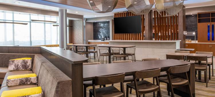 雷德兰兹SpringHill套房酒店(SpringHill Suites Riverside Redlands)图片