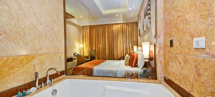 卡萨比德里NCR丽笙酒店(Radisson Blu Kaushambi Delhi NCR)图片