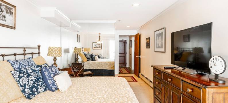 全季度假旅舍山村旅馆(The Loft at Mountain Village by All Seasons Resort Lodging)图片