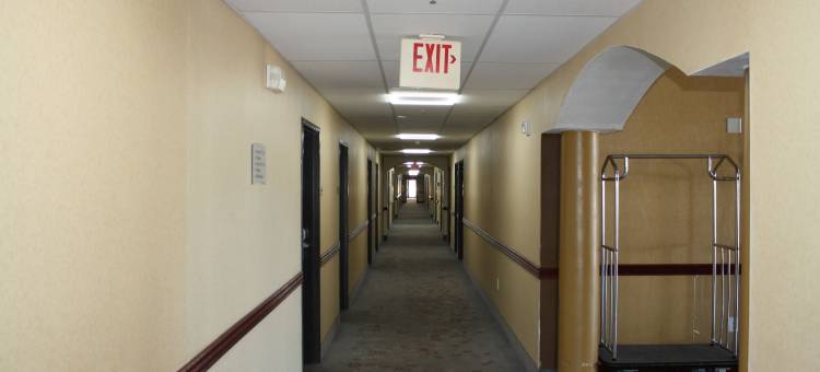 威奇托福尔斯 I-44 凯艺套房酒店(Quality Inn & Suites Wichita Falls I-44)图片