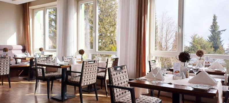 加贝尔巴赫伯格 Spa 酒店(Berg & Spa Hotel Gabelbach)图片