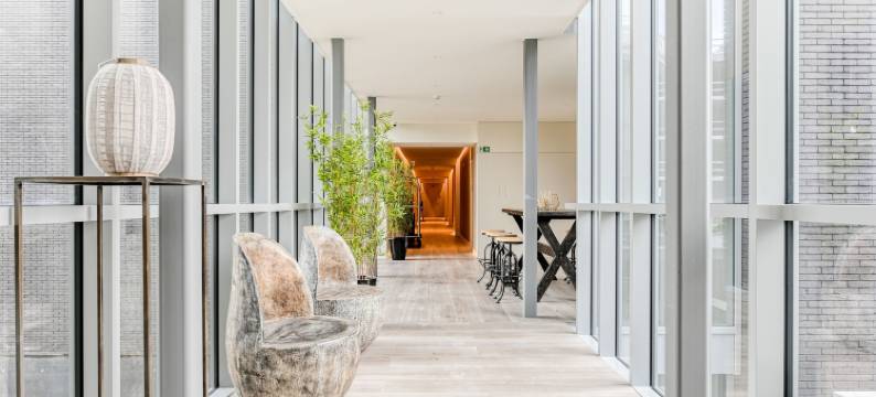 雅典卫城酒店(Hotel Acropolis)图片