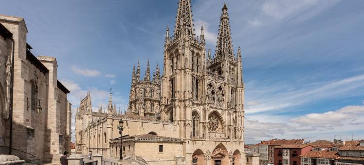 克里索梅森城市(Crisol Mesón del Cid)图片