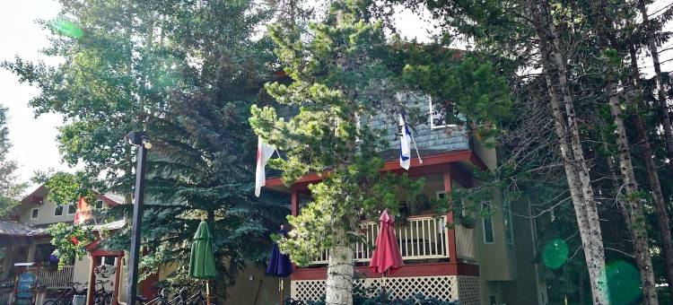 弗瑞斯科嘎勒娜宾馆(Frisco Inn on Galena)图片