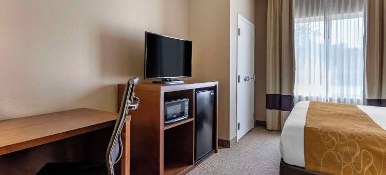 科拉尔维尔I-80舒适套房酒店(Comfort Suites Coralville I-80)图片