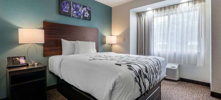 杰克逊维尔机场舒眠酒店(Sleep Inn Jacksonville Airport)图片