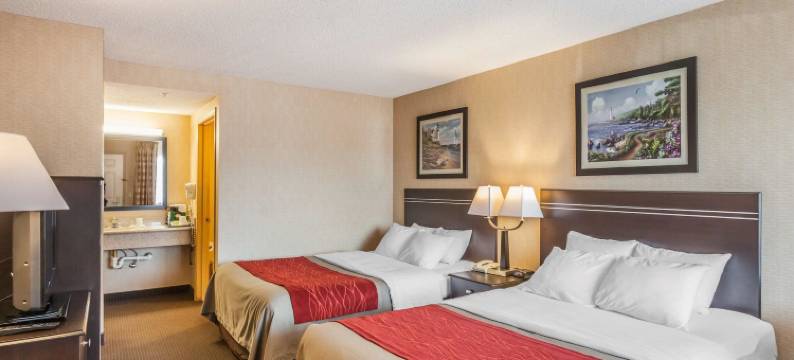 海湾舒适酒店(Comfort Inn on the Bay)图片