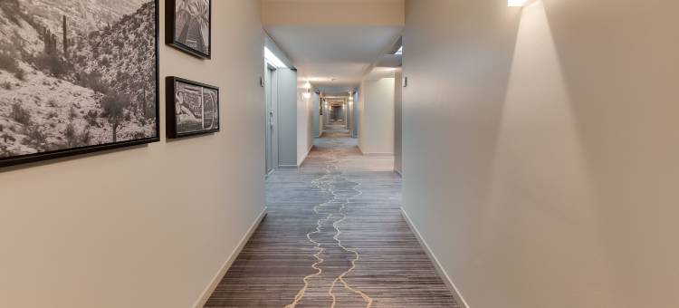 森尼维耳硅谷丽笙酒店(Radisson Hotel Sunnyvale - Silicon Valley)图片