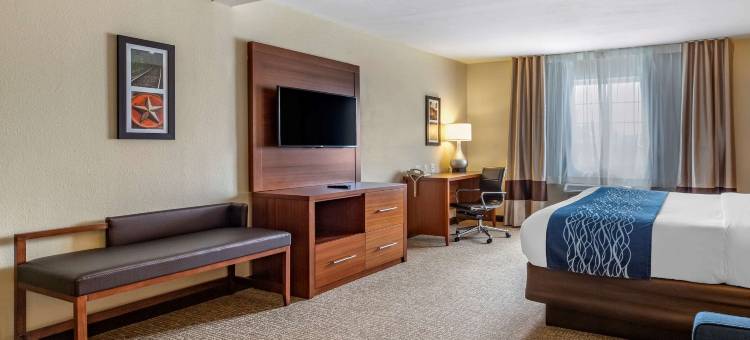 德克萨斯州山坡乡村舒适套房酒店(Comfort Inn & Suites Texas Hill Country)图片