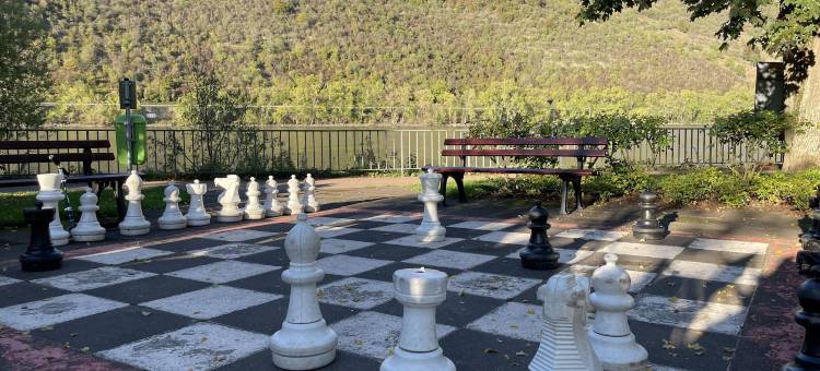 莱茵鲁斯特酒店(Hotel Rheinlust)图片