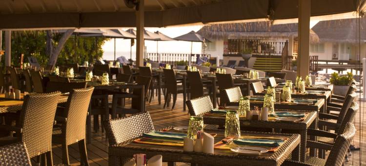 马尔代夫Ellaidhoo Cinnamon酒店-单程免费快艇接送(Ellaidhoo Maldives by Cinnamon - One-way FREE speedboat Transfers starting from 1 Oct 25)图片