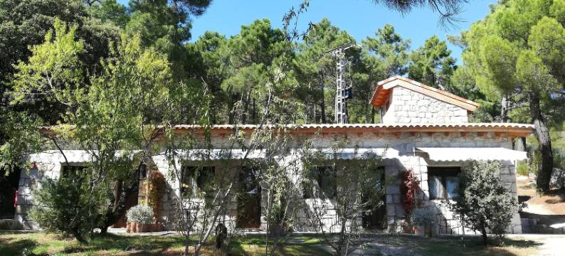 圣安东尼奥果园酒店(Huerto San Antonio)图片