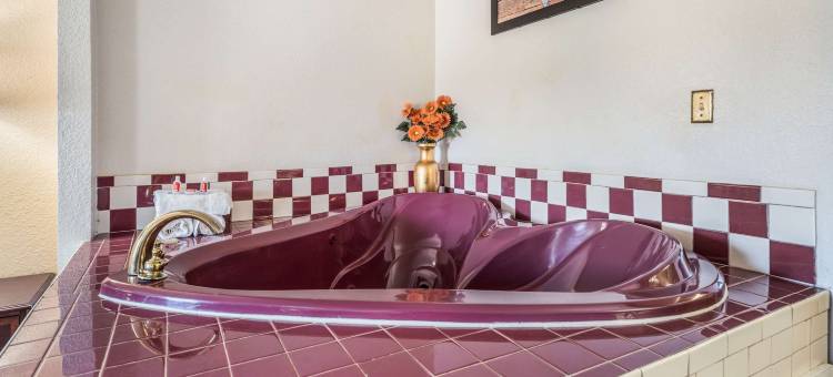 梅肯西伊克诺旅馆套房(Econo Lodge Inn & Suites Macon West)图片