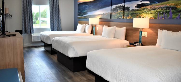 市中心休斯顿大学温德姆戴斯套房酒店(Days Inn & Suites by Wyndham Downtown/University of Houston)图片